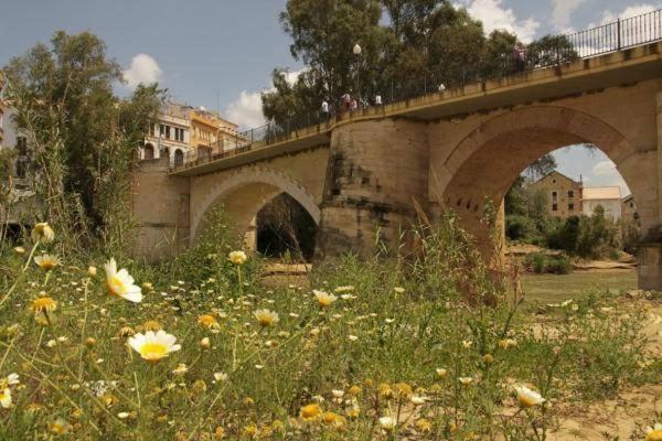 Apartament El Rincon De Don Gonzalo Puente Genil Zewnętrze zdjęcie